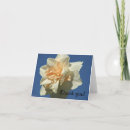 Search for daffodil thank you cards Narcissus