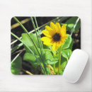 Search for beach grass mouse mats Nature