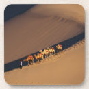 Search for road coasters Path