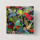 Search for lorikeet parrot accessories Parrots