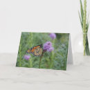 Search for monarch butterfly cards Insects