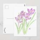 Search for crocuses postcards Purple
