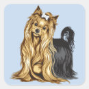 Search for yorkshire terrier stickers Canine
