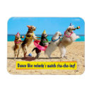 Search for humour rectangular magnets Beach