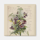 Search for pansy magnets Pansies