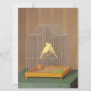Search for canaries cards Parakeet