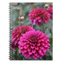 Search for photography business stationery Pink