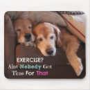 Search for dog napping electronics Golden retriever
