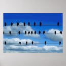 Search for perched posters Silhouette