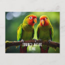 Search for amazon parrots postcards Tropical