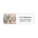 Search for apple blossoms return address labels Botanical