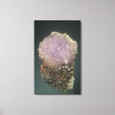 Search for crystal canvas prints Black background
