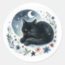 Search for magic cat stickers Pet