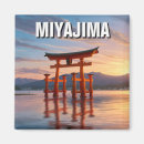 Search for torii magnets Miyajima