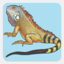 Search for green iguana stickers Exotic