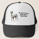Search for dane hats Pets