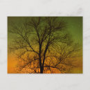 Search for provincial park postcards Jaynes gallery