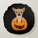 Search for chihuahua cushions Pet