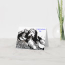 Search for bearded collie cards Beardie