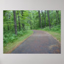Search for forest path art Woods