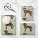 Search for chocolate lab wrapping paper Cute