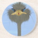 Search for ostrich barware Birds