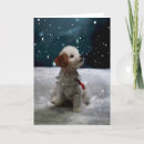 Search for rescue christmas cards Puppy
