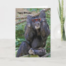 Search for chimps cards Primate