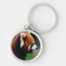 Search for brown cat key rings Cute