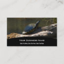 Search for pet reptile business cards Turtle