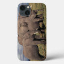 Search for nation ipad cases Animal