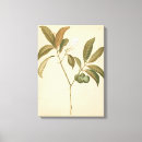 Search for deco canvas prints Panels