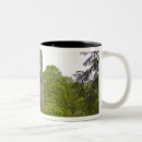Search for blarney coffee mugs Castle