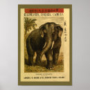Search for indian elephant posters Vintage