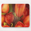 Search for red tulip electronics Birthday