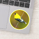 Search for goldfinch stickers Yellow