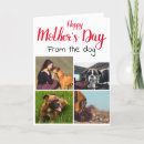 Search for boxer mom cards Mother