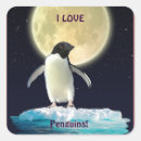 Search for penguin love stickers Wildlife