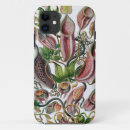 Search for ernst haeckel iphone cases Nature
