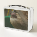 Search for sloth lunch boxes Slow