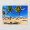 Search for beach postcards Tropical