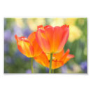 Search for 4x6 posters Garden