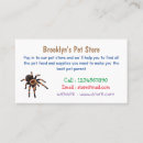 Search for insect business cards Spider