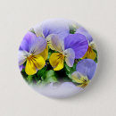 Search for yellow pansy badges Garden