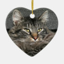Search for tabby maine coon cat christmas tree decorations Animal
