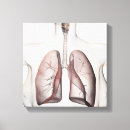 Search for larynx Human body parts
