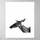 Search for refined posters Oh deer