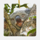Search for cute koala bears christmas tree decorations Cuddly