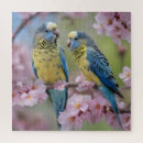 Search for budgie puzzles Blue