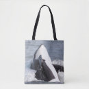 Search for breach bags Alaska